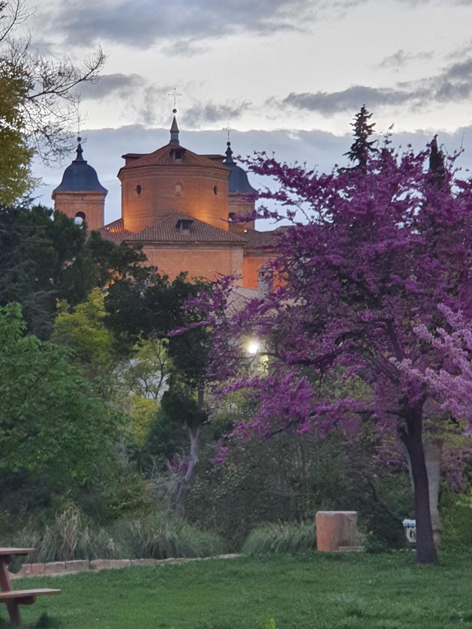 Casa Rural Ramblizo Elche de la Sierra Eksteriør billede